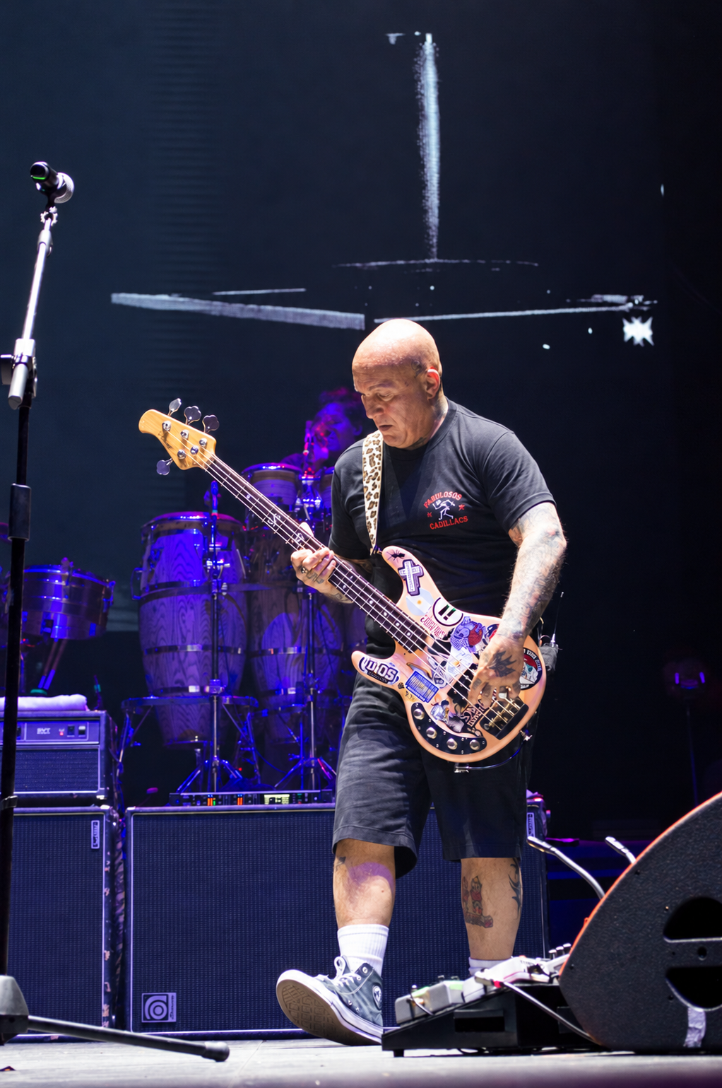 Los Fabulosos Cadillacs - Fishbone - Chico Trujillo